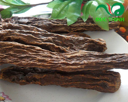 Nhục thung dung mua ở đâu?