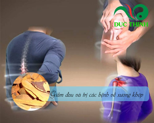 Rễ cây nhàu chữa bệnh gì?