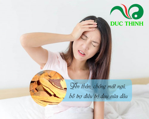 Rễ cây nhàu chữa bệnh gì?