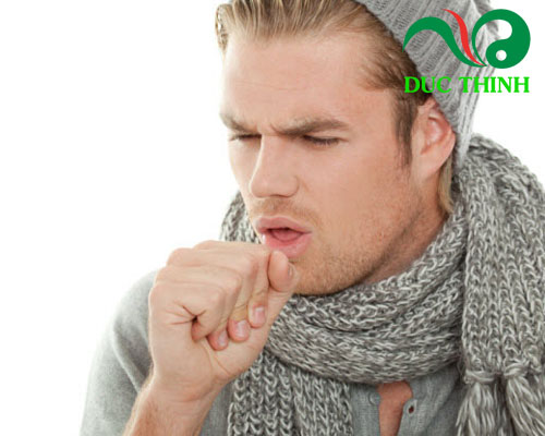 Tác dụng của cây bù lù