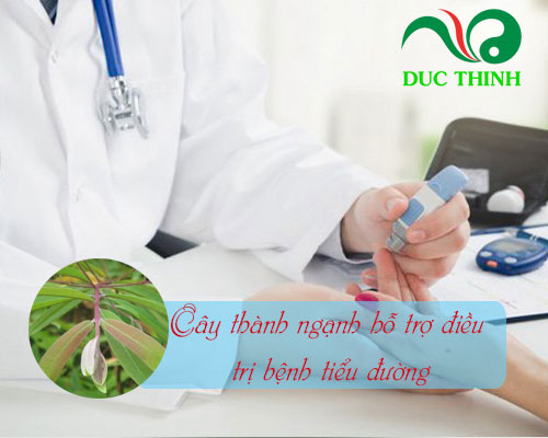 Tác dụng của cây thành ngạnh