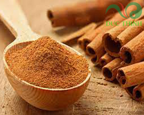 vỏ quế có ở đâu