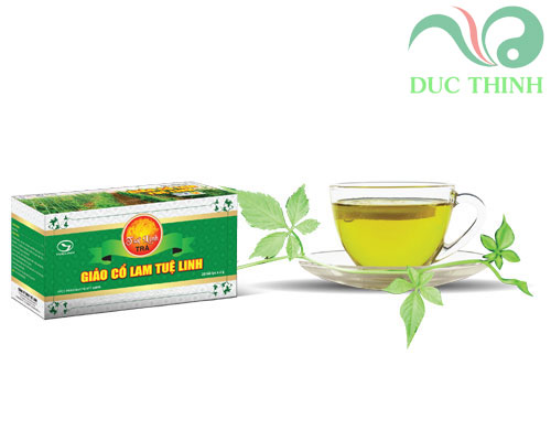 cách dùng trà giảo cổ lam Tuệ Linh hiệu quả