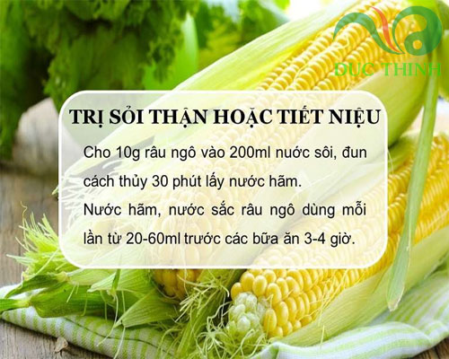 râu bắp có tác dụng chữa bệnh sỏi thận