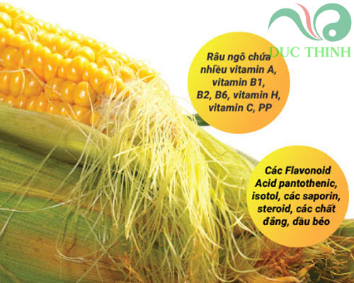 thành phần hóa học của râu bắp