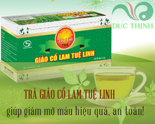 công dụng của trà giảo cổ lam Tuệ Linh