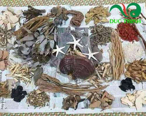 Các toa thuốc của Minh mạng thang