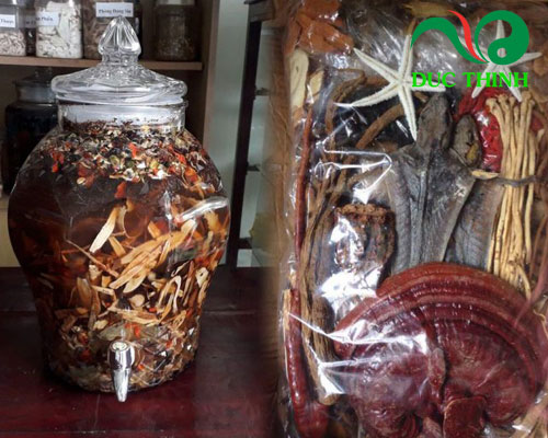 Cách dùng Minh Mạng Thang ngâm rượu đúng chuẩn