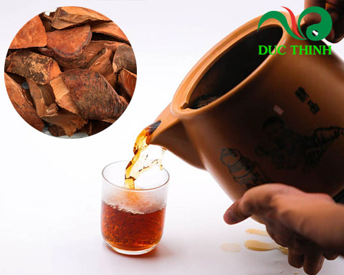 Cách sử dụng cây mú từn điều trị bệnh