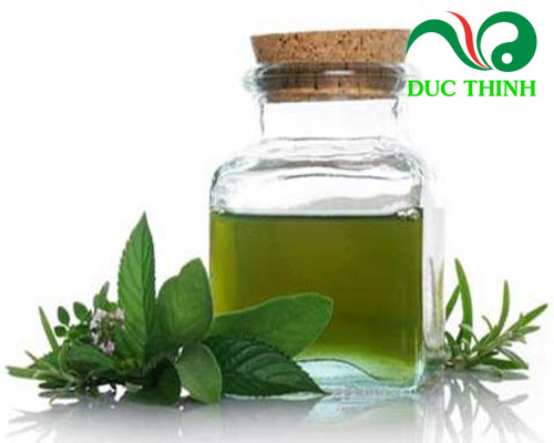 Cách sử dụng hương nhu trị hôi miệng