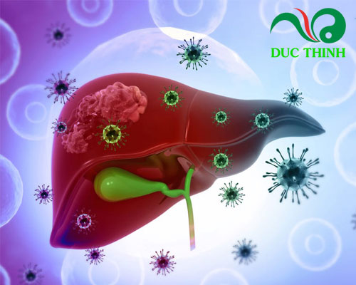 Cây bí kỳ nam chữa bệnh gì?