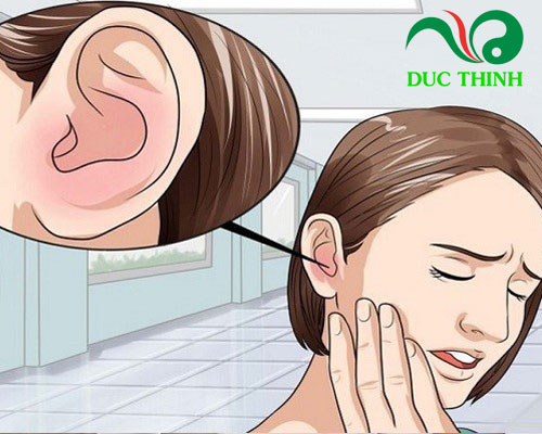 Cây cối xay có tác dụng gì?