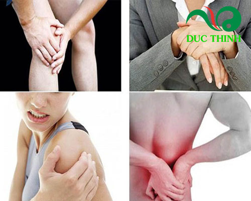 Cây mú từn có tác dụng gì?