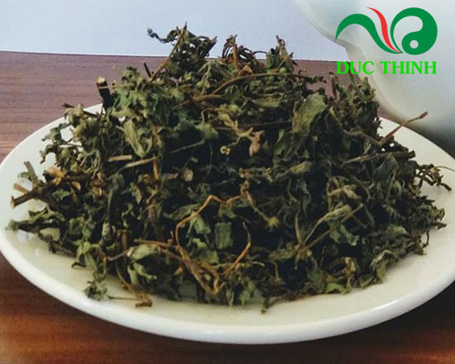 Cây nhọ nồi chữa bệnh gì?