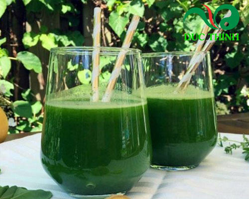 Cây nhọ nồi chữa bệnh gì?