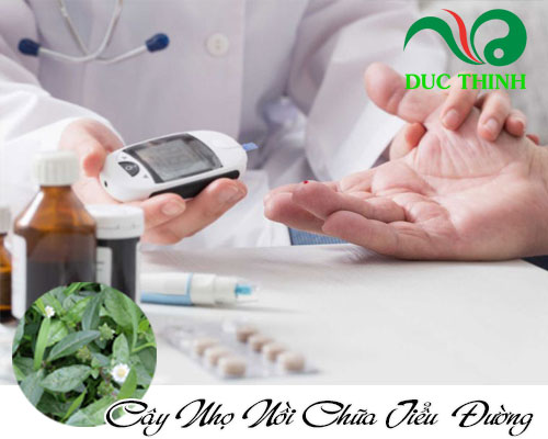 Cây nhọ nồi chữa bệnh gì?
