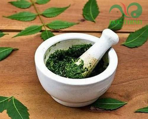 Cây nhọ nồi điều trị mụn và làm đẹp da