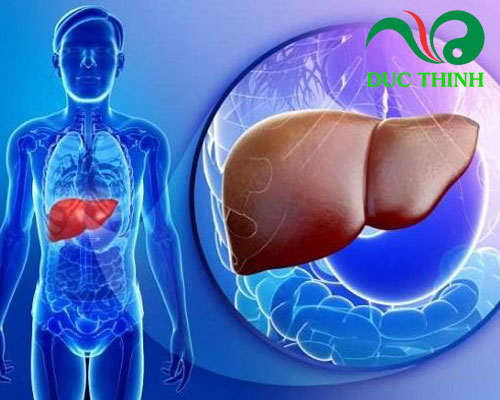 Cỏ mần trầu có tác dụng gì?