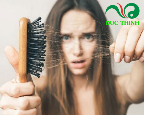 Cỏ mần trầu trị bệnh gì?