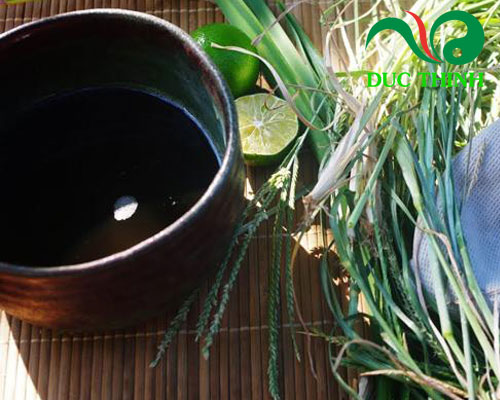 Cỏ mần trầu uống nhiều có tốt không?