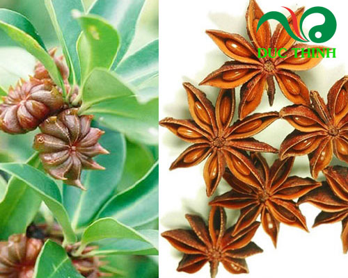 Công dụng của bột hoa hồi