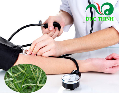 Công dụng của cỏ mần trầu