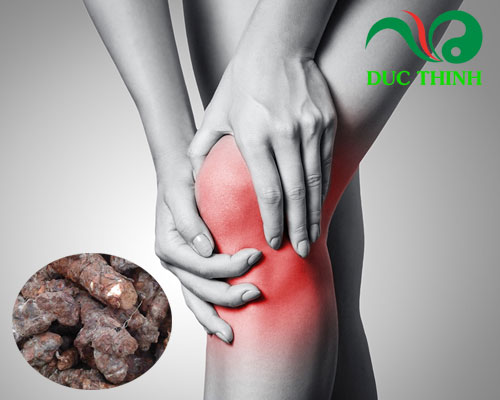 Củ khúc khắc ngâm rượu có tác dụng gì?