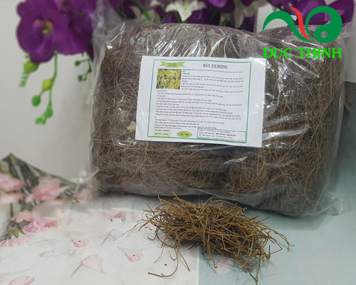 Đặc điểm nhận biết dây tơ hồng