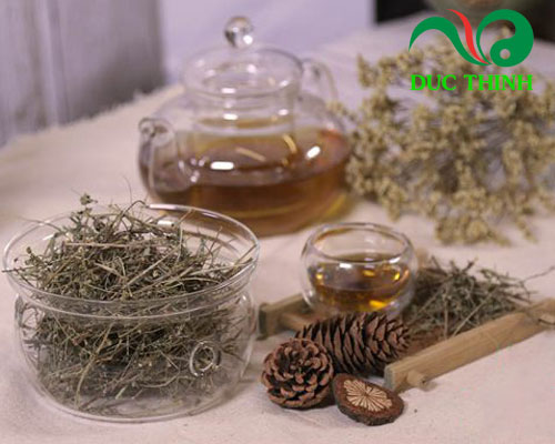 Dây tơ hồng xanh chữa bệnh gì?