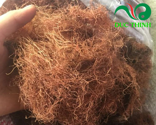 Giá bán râu ngô bao nhiêu 1kg?