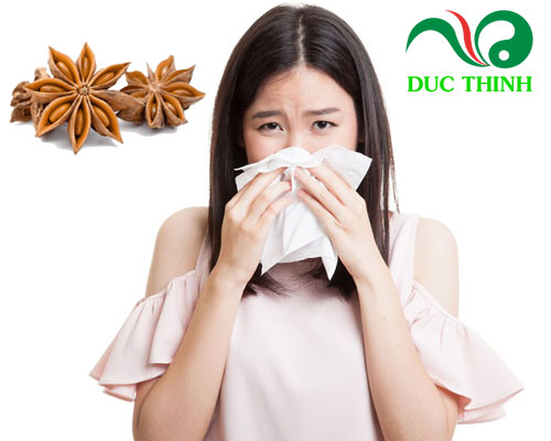 Hoa hồi có tác dụng gì?