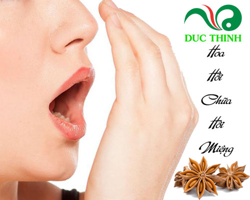 Hoa hồi có tác dụng gì?