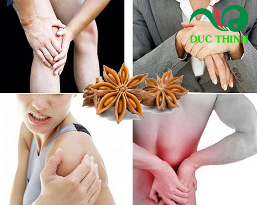 Hoa hồi có tác dụng gì?