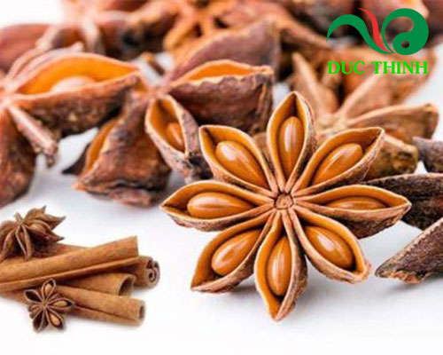 Hoa hồi là gì mà quý đến vậy?