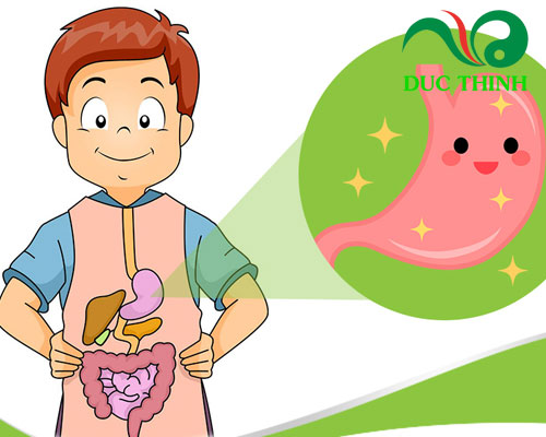 Hoa hồi ngâm rượu có tác dụng gì?