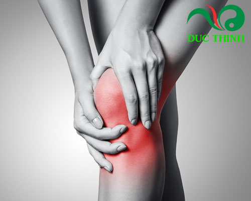 Lá khôi tía có tác dụng gì?