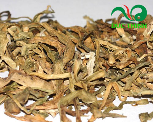 Một số thông tin về cây náng hoa trắng