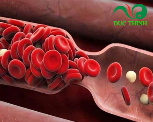 Mú từn có tác dụng gì?