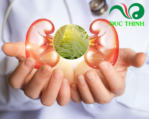 Râu bắp có tác dụng gì?