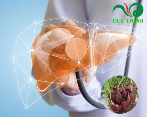 Sâm đại hành có tác dụng gì?