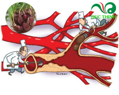 Sâm đại hành có tác dụng gì?