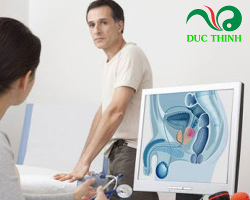 So sánh cây náng hoa trắng và trinh nữ hoàng cung