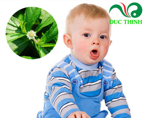 Tác dụng cây nhọ nồi với trẻ sơ sinh