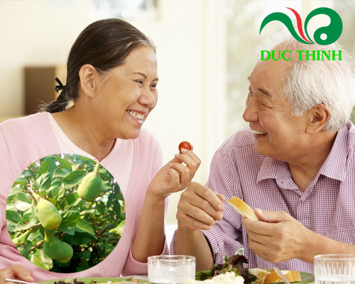 Tác dụng chữa bệnh của quả trâu cổ