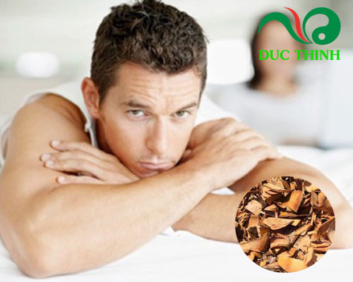 Tác dụng của cây bồ quân