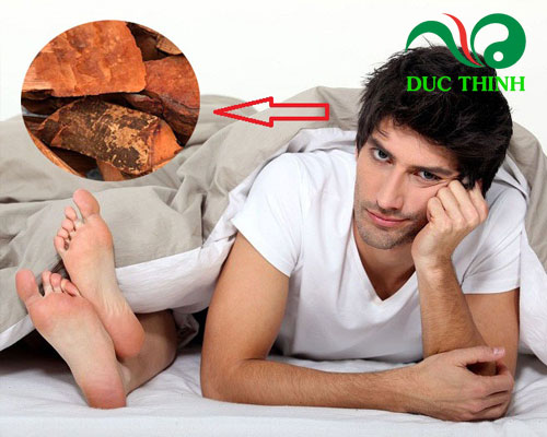 Tác dụng của cây mú từn