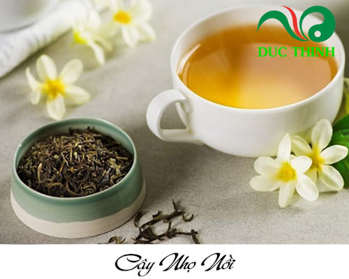 Tác dụng khi tắm cây nhọ nồi cho bé