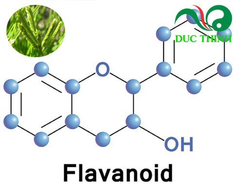 Thành phần hóa học của cây cỏ mần trầu