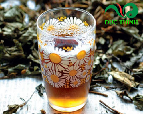 Vì sao cây dừa cạn được nhiều người tìm mua?