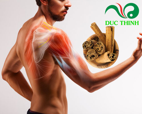 Vỏ quế ngâm rượu có tác dụng gì?